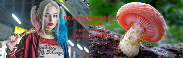 крисы Алексеевка
