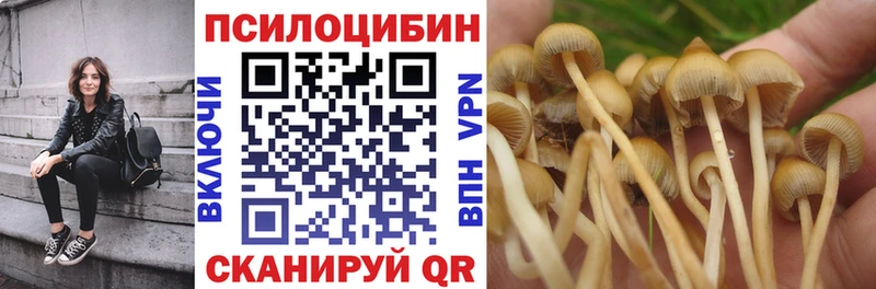 где можно купить наркотик  Инсар  Псилоцибиновые грибы мухоморы 